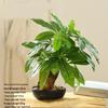 Creative Wooden Basin with Artificial Green Plant Bonsai Ornament for Display and Decoration.