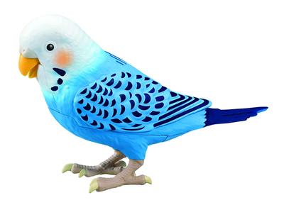 Takara Tomy TAKARATOMY Daily Talk Genius Parakeet Blue Blue Target 6 Years Old Brain Training Healing Partner Over 1100 Ways To Talk 10 Songs Age
