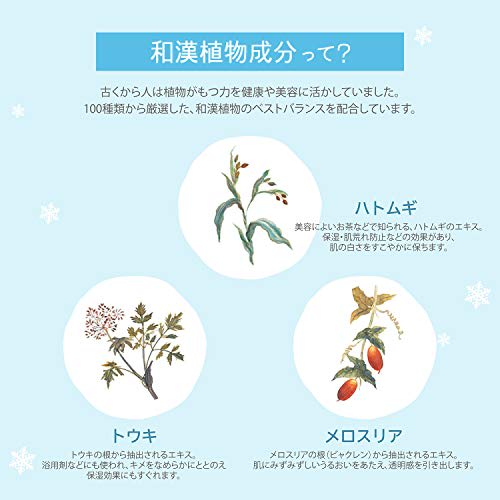 SEKKISEI White Bb Cream