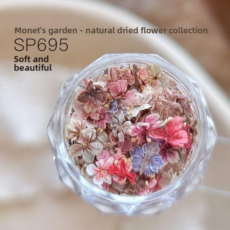 Materiale fiore secco per nail art misto squisito materiale fiore a cinque petali decorazione unghie floreale piccola gioielleria per unghie floreale