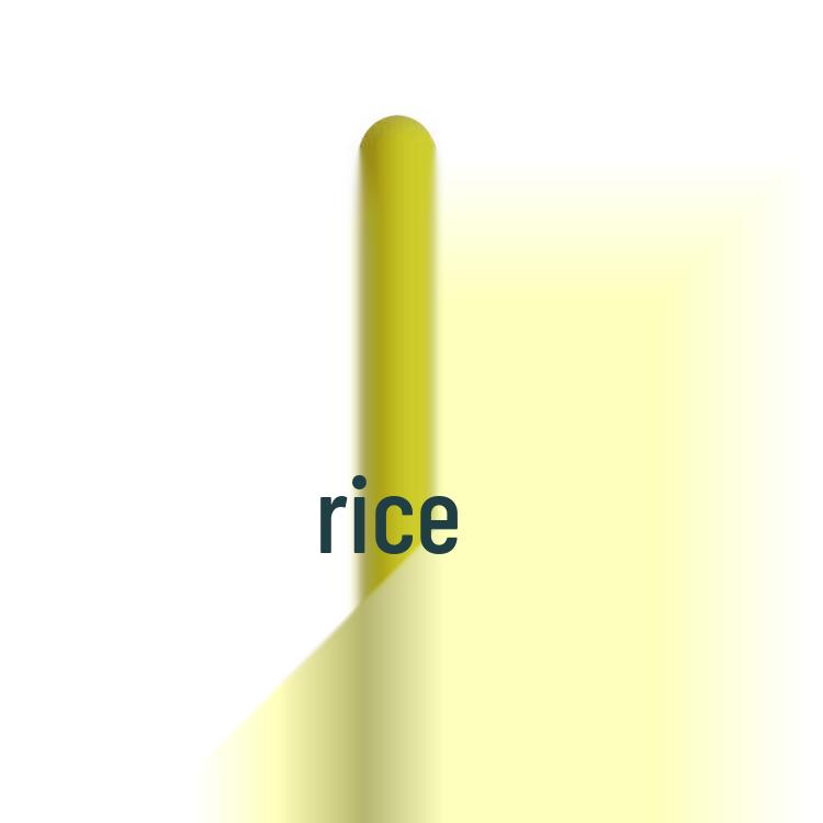 

Plastic Maracas for Early Childhood Education - Children s Percussion Instruments and Teaching Aids.