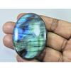 150Cts.Natural Labradorite Multi Fire Oval Cabochon Loose Gemstone 37X54X8MM D-256