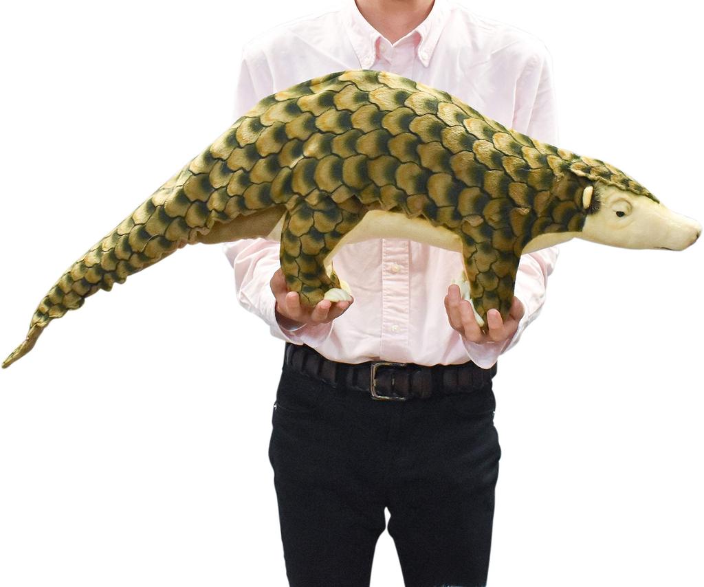 BH6842 HANSA Pangolin 90