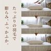 Romance Kosugi Feather Pillow (70 X 50 Cm), Fill Weight: 0.3 Kg, Beige, Made In Japan