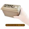 Skater Lunch Box Silver Ion Ag+ Antibacterial Fluffy Packing Integrated 2 Tiers 550ml Peanuts Retro Snoopy PALW6AG