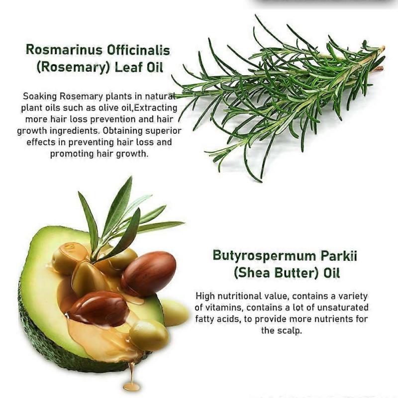 Rosemary Hair Oil, Rosemary Massage Oil for Skin Care, Nourishes the Scalp and Improves Hair Growth, Skin Care Oil for Aromatherapy