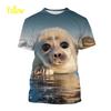 T-shirts Animals Funny Seal Fashion Summer Crew Neck 3D Print TShirts Boy Girl Kawaii Oversized  Casual Streetwear Tee Clothes
