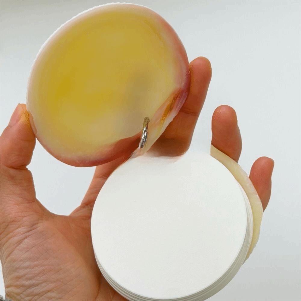 Mini Compact Natural Seashell Notebook Natural Shell Mini Notebook Sketchbook Personal Use