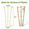 10pcs 3FT Bamboo Trellis For Climbing Plants,Fan-Shaped Plant Support Trellis For Houseplants Ivy Hoya Vine Monstera