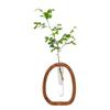 Walnut Solid Wood Flower Ware Creative Flower Arrangement Decoration Simple Glass Plant Flower Stand Mini Water-cultured Vase