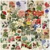 50 Transparent Cartoon Retro Plant Sticker Pack Waterproof Transparent PET Hand Account Decorative Guitar Notebook