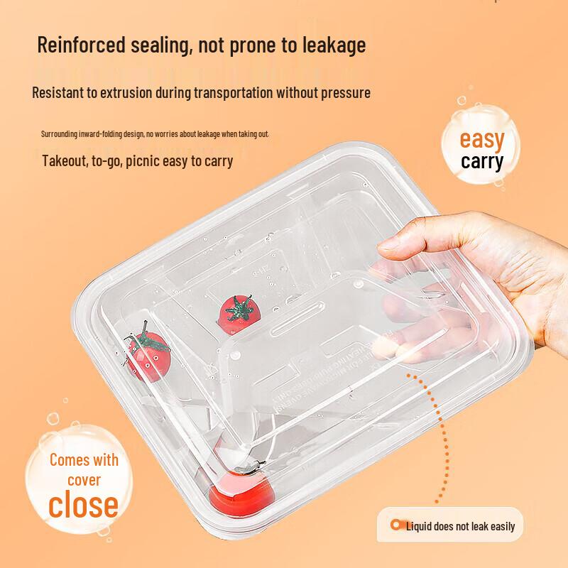 Temeiju Disposable Square 4-Compartment Takeaway Containers with Lids