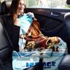 1pc, Ice Age The Meltdown Movie Characters Throw Blanket Perfect for Home Decor, Couch Cover, Outdoor Use, Travel, Camping