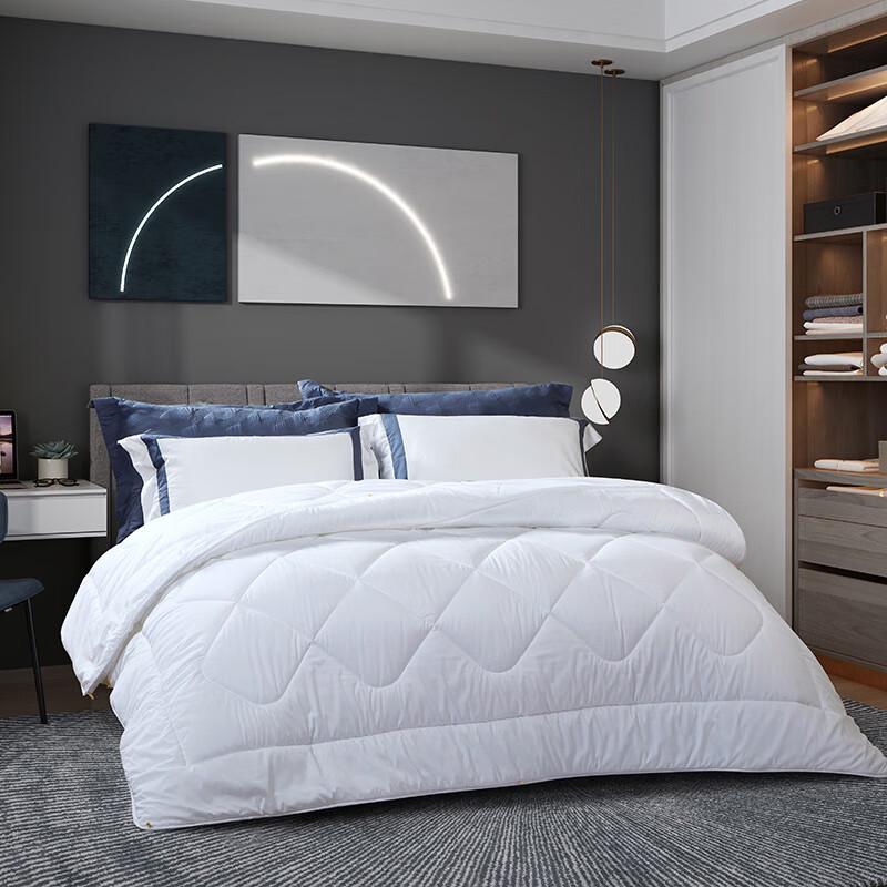 

Fuanna Warm Winter Thick Polyester Quilt