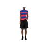 Polo Ralph Lauren SS24 Logo Embroidered Striped Polo Shirt Women Tops 211943043-001