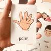 Children Cognition Cards Body Parts Animal Fruits English Word Animal Sheets Color Picture Vegetable Pictures Child Development
