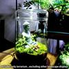 Cylinder Glass Terrarium Perforated Cover Moss Plant Pots Art Vase Micro Landscape  Indoor Planting