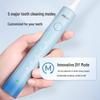 BAIR X304 Sonic Electric Toothbrush CN plug (adapter included)