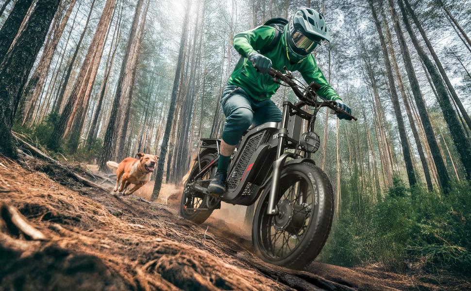 TIFGALOP Elektrofahrrad, 20 Zoll Fat Tire Elektrofahrräder für Erwachsene mit zertifiziertem Akku, VTT Leistungsstarkes Nicht-Faltbares Pendlerfahrrad