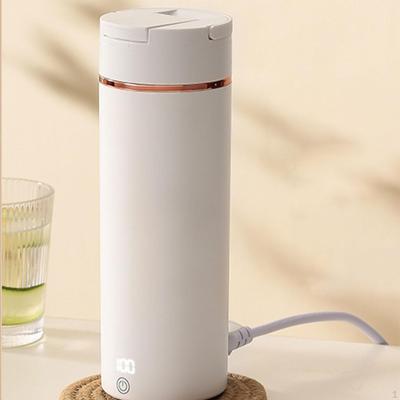 Portable Electric Kettle Leakproof Stainless Steel for Auto Car Party Travel