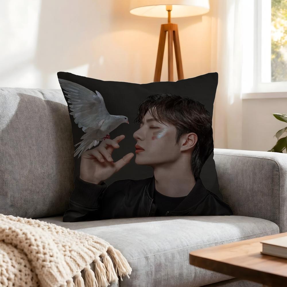 Star Wang Yibo Cushion Cover Pcs Decorative Covers Soft Cushion Case for Sofa Couch Decor x x Pillowcases