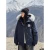 Women's 2025 Retro Parka Down Cotton Jacket - Winter Warmth, Short Workwear Essential