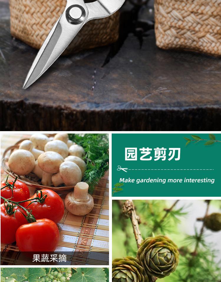 Stainless Steel Ash Pruning Branches Floral Straight Handle Gardening Scissors Rose Scissors Pruning Pruning Garden Tools