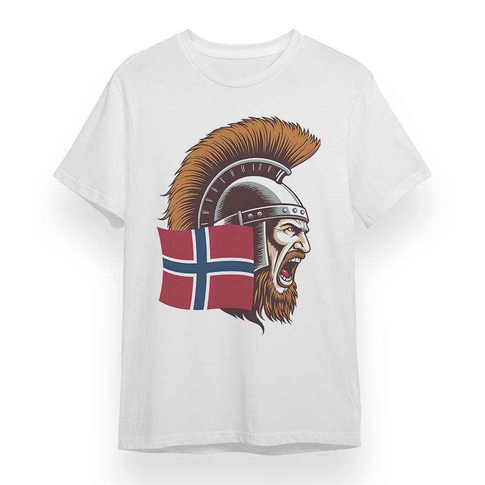 

Men s Oversize T-shirt With Nordic Warrior Graphic Unisex White 100% Cotton Tee 2XL