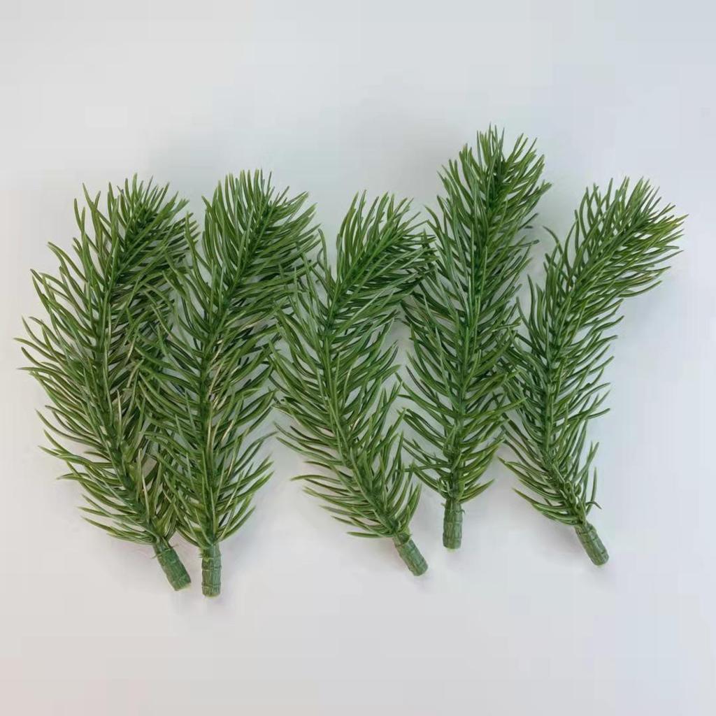 Natural Dried Pine Cones for Christmas Tree Decoration, Photography Props, Floral Wreaths, and Bouquets.