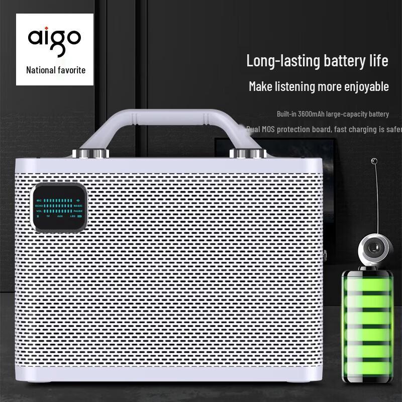 Aigo T198 Portable Bluetooth Guitar KTV Speaker with Dual Microphones