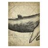 Marine Animals Canvas Paintings Great White Shark Posters and Prints Killer Whale Wall Art Picture for Home Decoration No Frame
