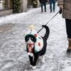 Warm Dog Christmas Cape Cute Pet Cloak Creative Clothing Cat Cosplay Costume  Winter Outfit