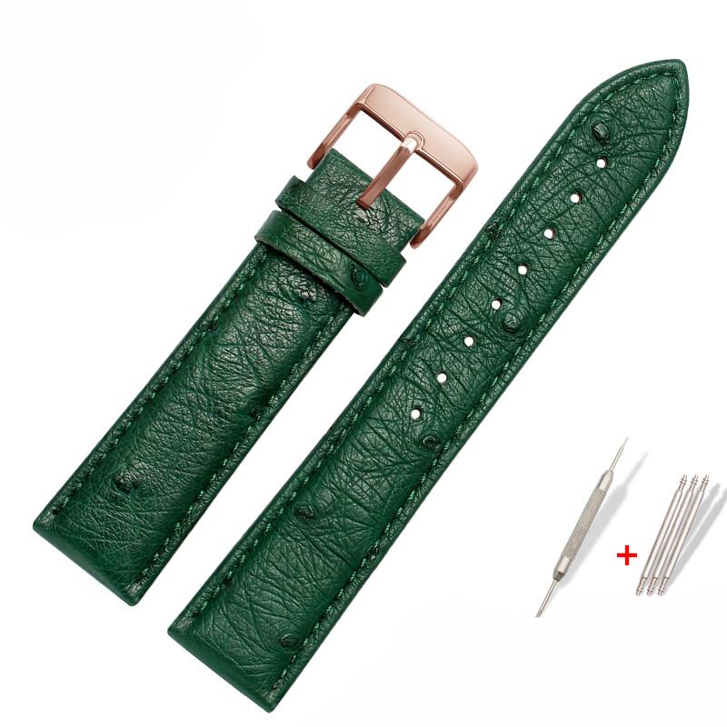 Genuine Watchband Ostrich Leather Strap Fit Seiko Omega Citizen Universal Bracelet 18mm 20mm 21mm 22mm Watch Band Brown Green