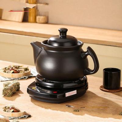 ZISIZ Automatic Electric Herbal Decoction Pot