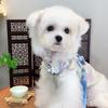 Clothing for Small and Medium-sized Dogs Shiba Inu New Chinese Style Cheongsam Dog Clothes Autumn and Winter Cat Pet Clothes New
