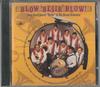 CD JOVA STOJILJKOVIC BESIR HIS BRA Blow Besir Blow CDORBD038 GLOBE STYLE 1995 Japan World Music Used