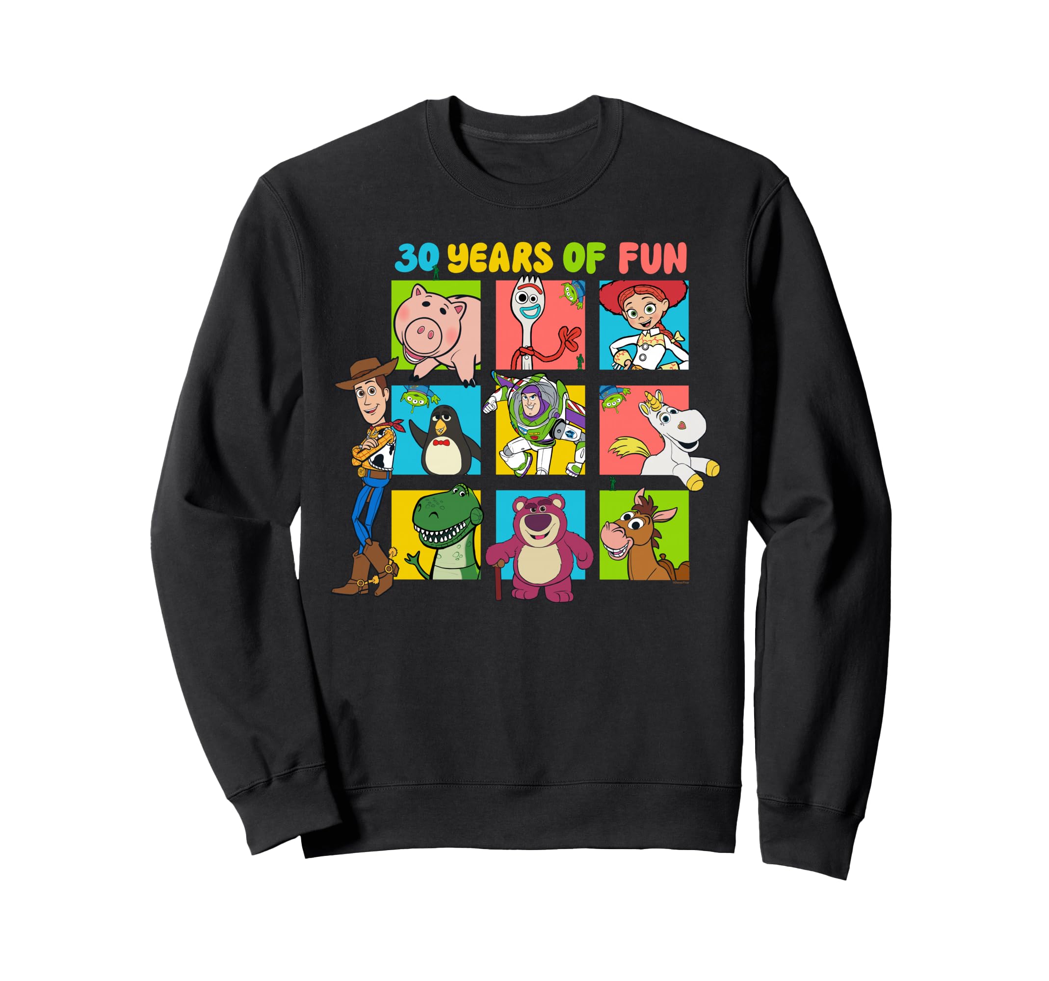 

Disney Pixar Toy Story 30th Anniversary 30 Years of Fun Sweatshirt