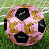 Custom Name Scooby Doo Theme Size 5 Soccer Ball, Suitable for Both Indoor and Outdoor Matches, a Gift Suitable for Everyone.