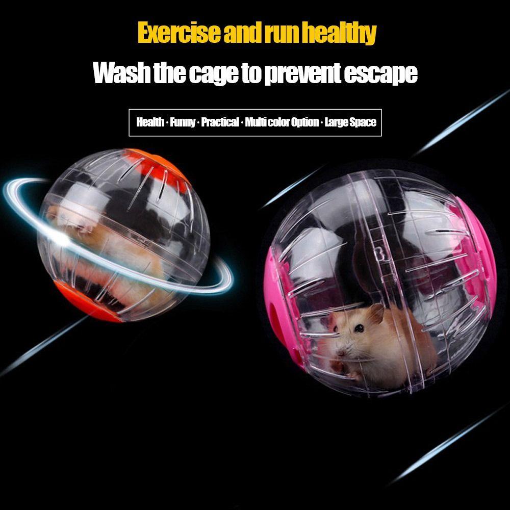 Rolling Mice Rodent Small Pet Play Exercise Toy Training Toy Hamster Running Ball
