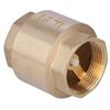 6/4 inch check valve