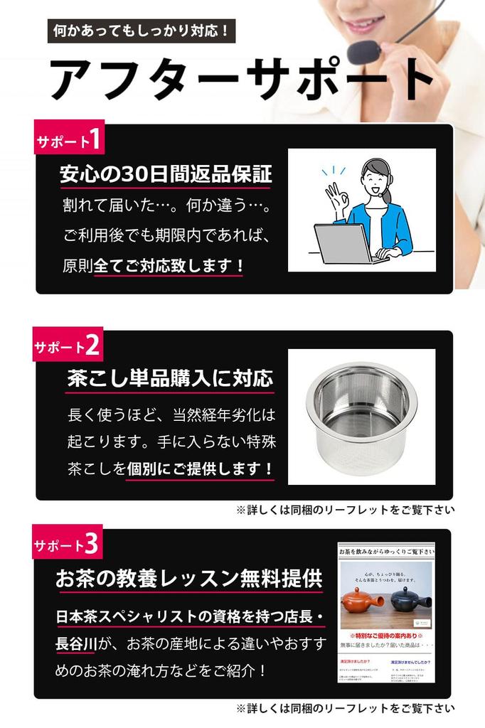 Tokoname-yaki Teapot (300ml) Made In Japan [Easy-to-clean Tea Strainer Included] Hand-painted by an Artisan, Featuring a Cherry Blossom and Mountain