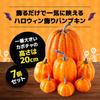 Osaka Choseido Halloween Set Dovleac Mare cu Cel Mai Mare Dovleac 20cm Include Decorațiuni Amuzante cu Batiste, 7, Înalt,