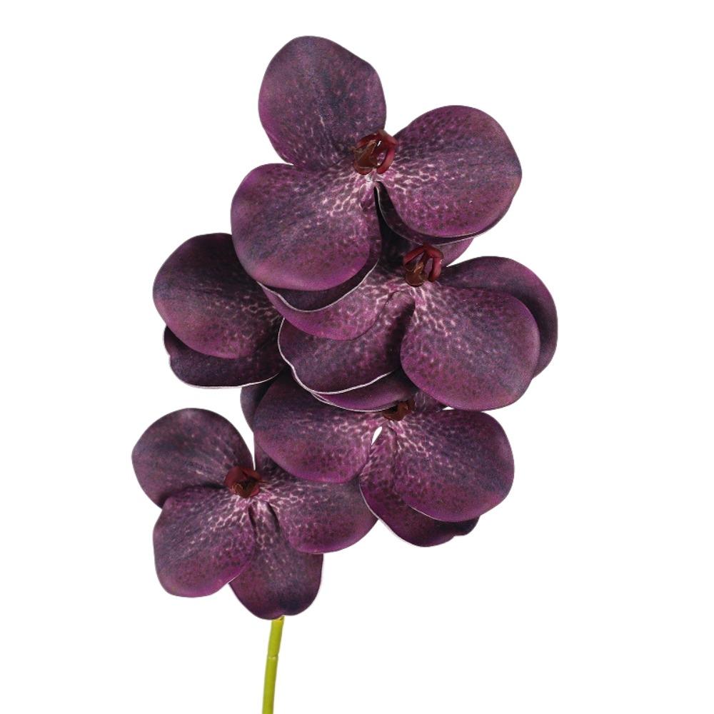 Echte Berührung Simulation Große Mottenorchidee Schmetterlingsorchidee Künstlicher Blumenast Lehrertag