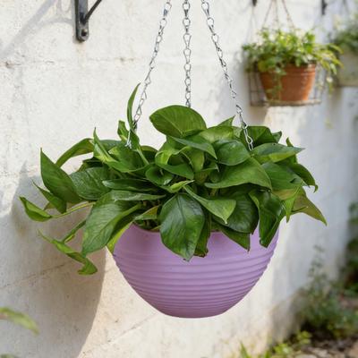 7Pcs Hanging Planters Flower Pots with Drainage Holes And Metal Chains Plastic Hanging Flowerpots for Indoor Outdoor Use