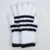 Plush Gloves for Men and Women Korean Version Leopard Print Fashion Striped Mobile Phone Touchscreen Gloves