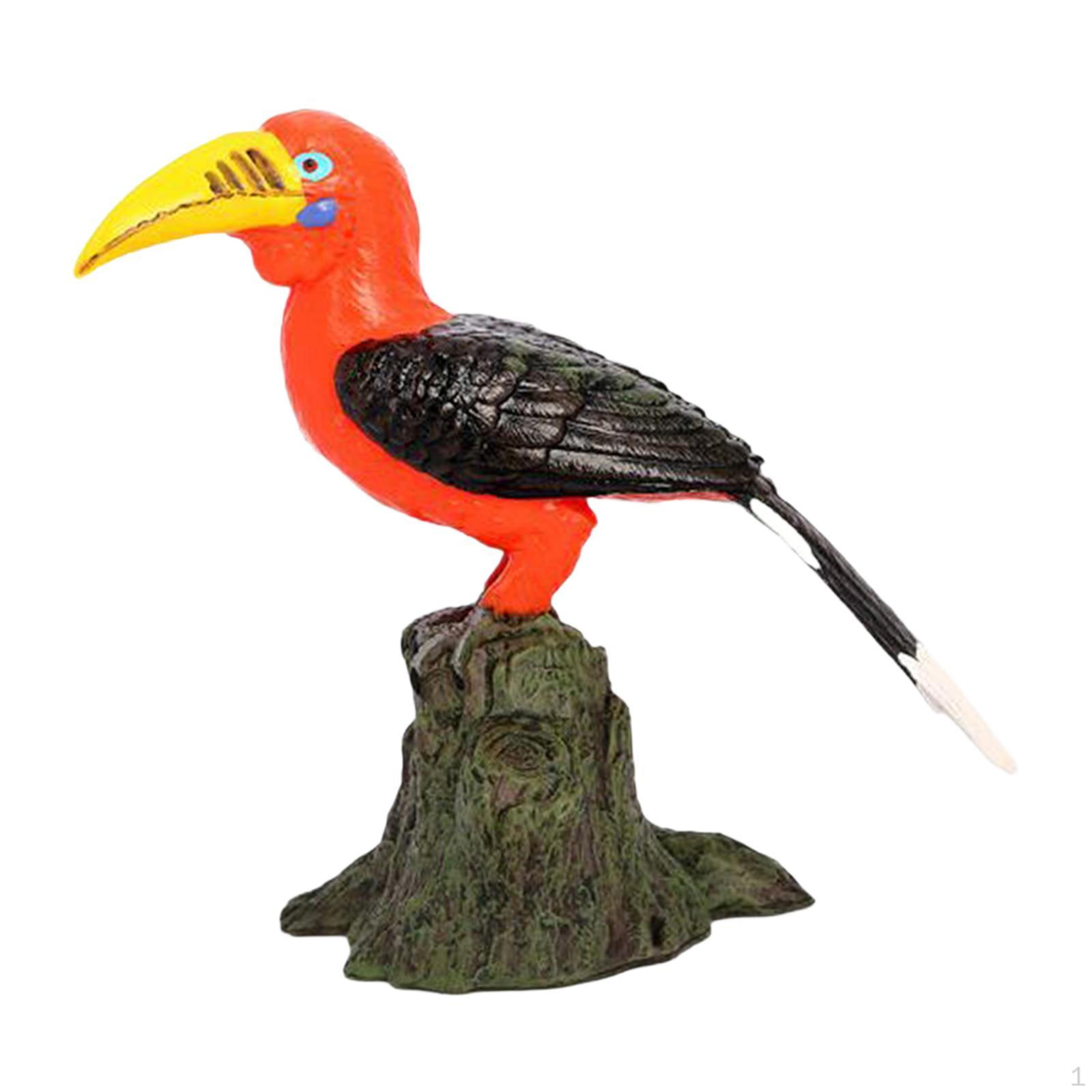 

Птица Модель Фигурка Реалистичная Статуя Коллекция Настольный Акцент Офис Миниатюра Orange Hornbill