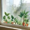 Potted Plant Window Clings, Colorful Flower Static Cling Decals for Home Window Decor