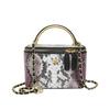 Personalized Small Bag 2025 New Fashion Niche Snake Pattern Handbag Women's Versatile Chain Messenger Box Bag Tide
