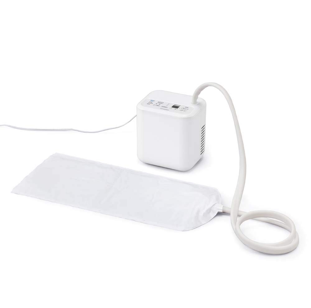 Iris Ohyama Cool Sleep Pillow, White, SCP-450