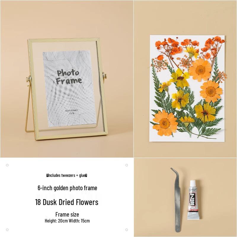 Nordic Creative DIY 3D Dried Flower Frame Kit - Simple Metal & Glass with Glue